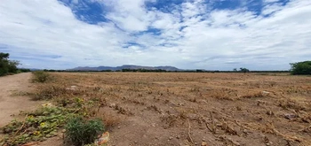 13_2693 | En Venta excelente Predio Agrícola, El Porvenir, San Miguel Zapotitlán. | HeroSuite.io Oficial