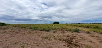 13_2691 | En Venta excelente Predio Agrícola, San Miguel Zapotitlán. | Realhaus