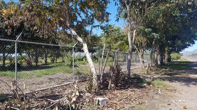 15_1256 | TERRENO EN RENTA SOBRE LA INTERNACIONAL | HeroSuite.io Oficial